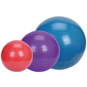 Factory Brand New Exercise Fitness Ball 65cm Yoga Stability Gym 