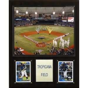  Tampa Bay Rays Tropicana Field 12x15 Plaque Sports 