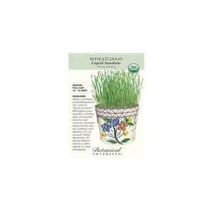  Botanical Interest   Wheatgrass (Certified Organic) Patio 