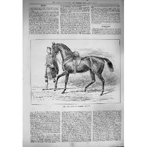    1884 Duke Albany Charger Horses Scottish Man Kilt: Home & Kitchen