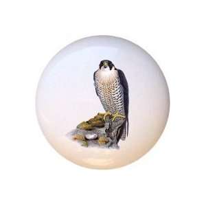  Birds Peregrine Falcon Drawer Pull Knob