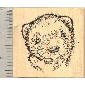  Large Baybee Ferret Face Rubber Stamp: Arts, Crafts 