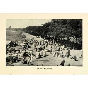 1901 Print Market Cairo Egypt Commerce Trade Crowds Trees Horses Carts 