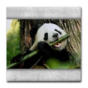  Tile Coaster (Set 4) Panda Bear Eating: Everything Else