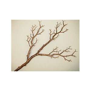   Brown Manzanita Tree Branch   31 Inch Bendable