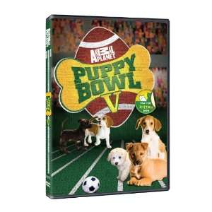  Puppy Bowl V DVD: Pet Supplies