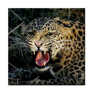   Leopard Big Cat Ceramic Tile Coaster Great Gift Idea: Office Products