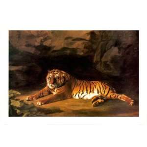 Portrait of the Royal Tiger by George Stubbs 34x24:  