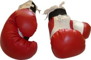 10oz/8oz High Performance Boxing Gloves Mitts Punch Kick MMA Gym