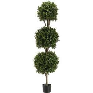  5 Triple Ball Shaped Boxwood Topiary