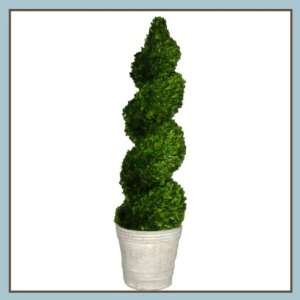  Boxwood Spiral Topiary 51 inch