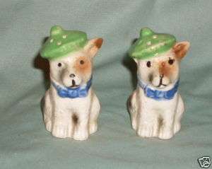 SCOTTISH TERRIER w/ TAM SALT & PEPPER  