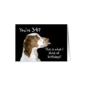 Brittany Spaniel Birthday 34 Card