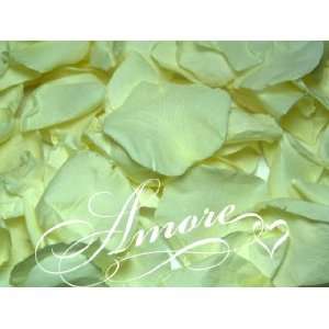  XLarge case 112 cups Freeze Dried Rose Petals Light Green 