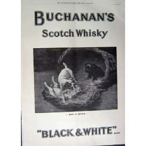  1912 ADVERTISEMENT BUCHANANS SCOTCH WHISKY BLACK WHITE 