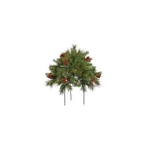  Vickerman 23446   1.5 X 36 Moneta Berry Bush Dura 50Cl 