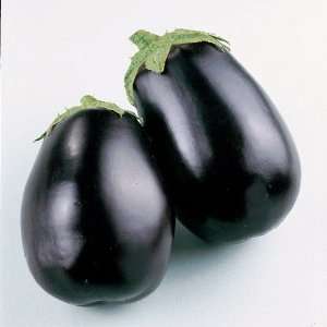  Eggplant Black Beauty Certified Organic Seed Patio, Lawn 