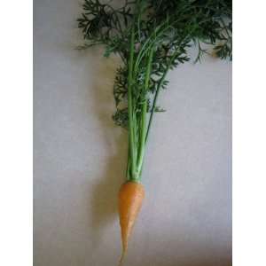  Red Cored Chantenay Carrot: Patio, Lawn & Garden