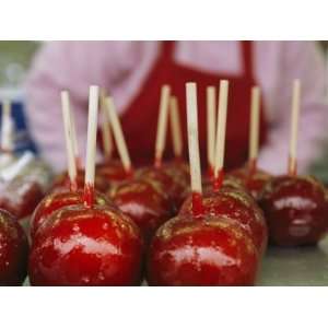  A Tray of Candy Apples Speak of Summer Fun Stretched 