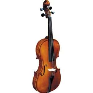   Strunal 193WA BH Concert Violin Outfit Musical Instruments