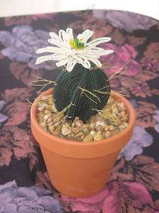 French beaded flowers potted cactus cacti flower  