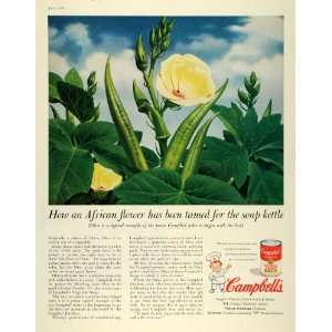   Tamed for Campbells Soup Kettle Vegetable Pods Can   Original Print Ad