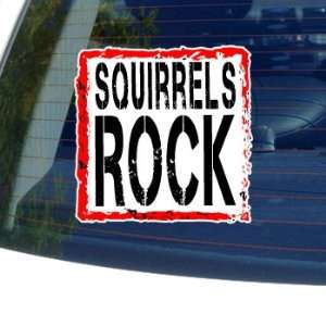  Squirrels Rock   Window Bumper Laptop Sticker: Automotive