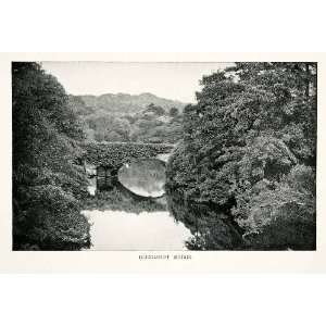 1902 Print Glengariff Bridge County Cork Ireland Stone Barrel Arch Ivy 