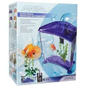  Goldfish Kit UL   Purple   Medium (Quantity of 1): Health 