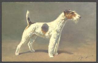 Vintage Postcard ~ Wire Fox Terrier Dog #95  
