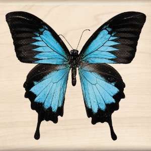  Inkadinkado Ulysses Swallowtail Wood Stamp: Arts, Crafts 
