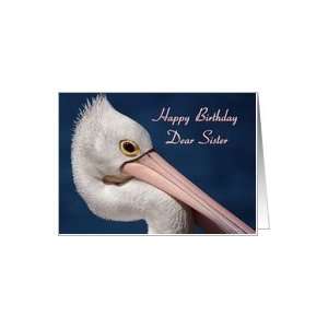  Birthday Sister   Pelican Portrait Card Health & Personal 