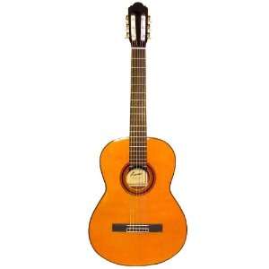  Kansas Classic Acoustic Guitar Musical Instruments