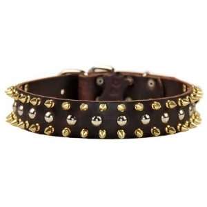  The Golden Spike Leather Spiked Dog Collars