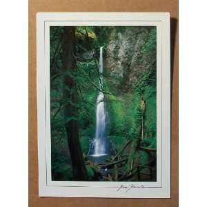  Marymere Falls Postcard (Rose Hamilton) 