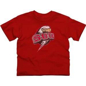 Southern Utah Thunderbirds Youth Distressed Primary T Shirt   Red