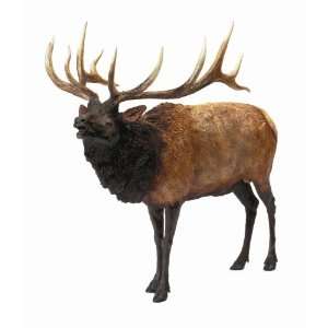 Hunter Dan Bull Elk Rocky Mountain Monster  Sports 