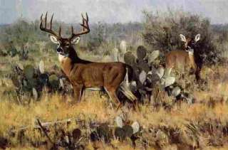 Phantom of the Flats by Ken Carlson is a deer scene painted in Texas 