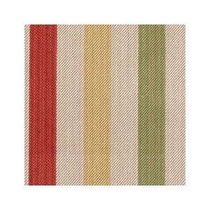  Stripe Multi 15023 215 by Duralee Fabrics