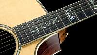  Taylor Guitars DMSM Dave Matthews Signature Model Grand 