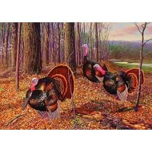  Riding the Coattails   Wild Turkeys by Wildlife Artist 