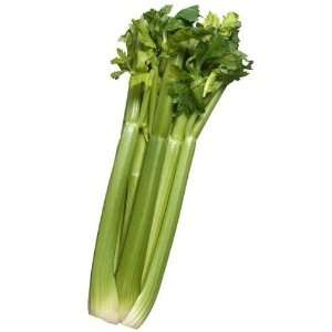  Celery Dehydrated Dried Survival Food   Giant #10 Can 