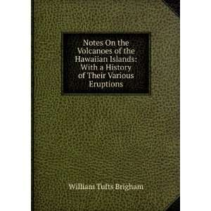   History of Their Various Eruptions William Tufts Brigham Books