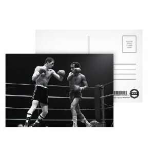 Charlie Magri vs. Eleoncio Mercedes   Postcard (Pack of 8)   6x4 inch 