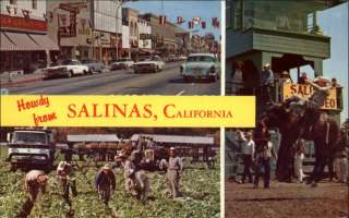 Salinas CA Horse Cowboy Street Scene Tobacco Multi view Postcard 