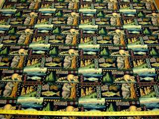 Northern Exposure tapestry upholstery fabric ft871  