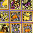 Dan Morris Butterfly Squares 100% Cotton Fabric Yardage