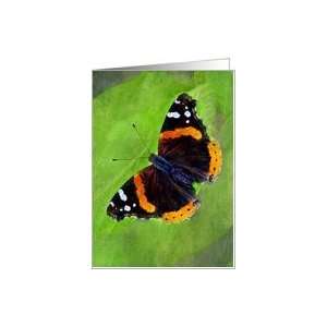  Beautiful Red Admiral Butterfly Card Health & Personal 