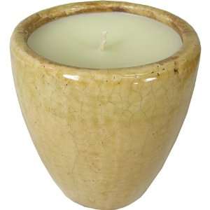 Nouvelle Spanish Lime Sage Green Cache Pot Candle