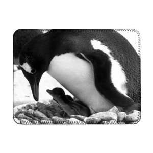  Proud mother penguin   iPad Cover (Protective Sleeve 